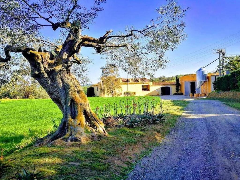 Rural Mas Hortus Villa Girona Exterior photo